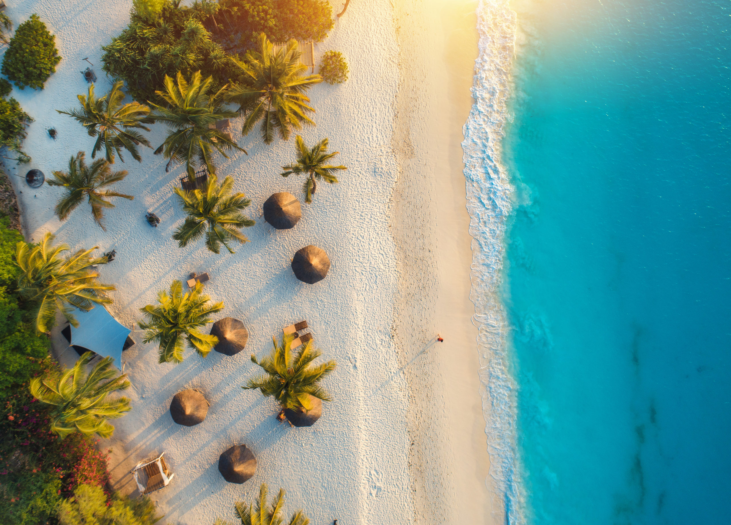 Aerial view of umbrellas, palms on the sandy beach of Indian Ocean at sunset. Summer holiday in Zanzibar, Africa. Tropical landscape with palm trees, parasols, white sand, blue water, waves. Top view